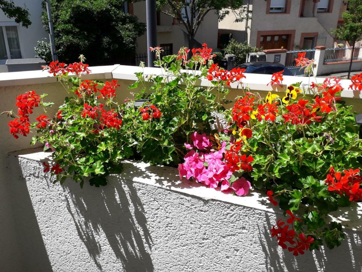 :) Grand Studio Lumineux A Toulouse Et Parking 外观 照片